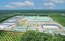 Baf Việt Nam chuẩn bị phát hành hơn 60 triệu cổ phiếu cho cổ đông
