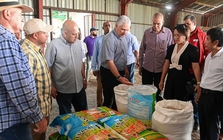 Cuba áp dụng 'bí quyết' trồng lúa của Việt Nam, thu kết quả khiến lãnh đạo bất ngờ