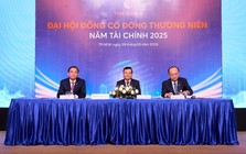 ĐHĐCĐ Tôn Đông Á: Kế hoạch lãi 250 tỷ đồng, cổ tức 20%, hé lộ thời điểm chuyển sàn HOSE