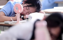 GVCN 17 năm phát hiện nghịch lý: Những đứa trẻ ích kỷ khi lớn lên, lúc nhỏ thường sở hữu 2 "ưu điểm" mà cha mẹ luôn tự hào