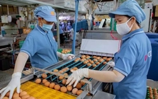 ‘Nghẹt thở’ vay vốn ngân hàng
