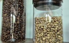 Giá cà phê hôm nay 30-5: Arabica lao dốc, người Việt uống cà phê nhiều hơn