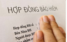 Người mua bảo hiểm nhân thọ bị công ty từ chối chi trả quyền lợi trong những trường hợp sau