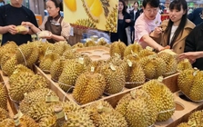 Kéo cả vali đi gom sầu riêng: Người phụ nữ gây sốt khi mua 14kg với giá chỉ 1 triệu đồng