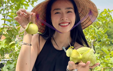 Mỹ nhân Việt làm chủ 3 công ty, sống trong nhà phố 100m2, sân thượng trồng gì mà lúc nào cũng trĩu quả?