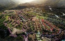 Nhà đồng sáng lập Ecopark chính thức khởi công dự án Khu đô thị sinh thái đồi chè Ô Quý Hồ