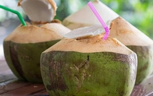 Lời khuyên cho các gia đình hay uống nước dừa