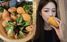Quả trứng gà rụng đầy gốc ở Việt Nam, sang nước ngoài thành hàng hiếm, bán hơn 1 triệu đồng vẫn có người mua