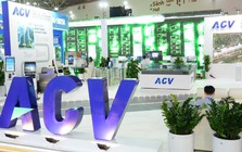 Thủ tướng yêu cầu hoàn thành việc kiện toàn nhân sự chủ chốt tại ACV trước 7/5