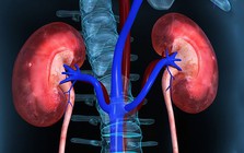 Đi tiểu nhiều bọt có phải bị suy thận? Bác sĩ bệnh viện Bạch Mai giải đáp