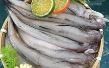 Đặc sản biển nổi tiếng của biển, có giá trị dinh dưỡng cao, mang lại nhiều lợi cho sức khỏe