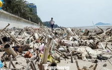 Cảnh tượng kinh hoàng ở bãi biển Hải Tiến