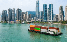 Việt Nam vừa đón tin vui từ Brazil