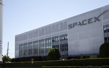 SpaceX muốn tự xây nhà máy chip 119 tỷ USD vì không mua đủ ở đâu