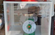Sầm Sơn lắp cân đối chứng ở khu hải sản để chống "buôn gian bán lận"