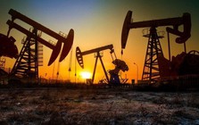 Giá dầu tiếp đà lao dốc, WTI lùi sâu về 90 USD/thùng