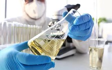 Sau nhiều năm, Nga tìm ra công thức để đuổi kịp châu Âu, biến thứ bỏ đi thành món hàng "đắt như tôm tươi"