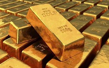 Quỹ vàng khổng lồ bất ngờ "gom" hàng trở lại
