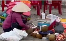Gom nước dừa thừa ở bãi biển Ninh Bình: Chủ quán bị cấm kinh doanh