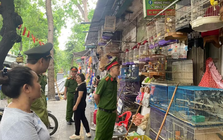 Hà Nội: Công an kiểm tra 3 hộ kinh doanh, thu giữ rất nhiều cá thể chim không rõ nguồn gốc