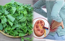 Loại rau có vị nhớt khó ăn nhưng lại được coi là "nữ hoàng" giải nhiệt mùa hè: Có 5 nhóm người tốt nhất đừng ăn nhiều
