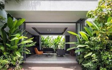 5 loại cây không nên trồng trước cửa nhà: Cây càng xanh tốt nhà càng suy