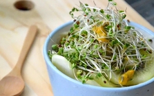 "Siêu thực phẩm" chống ung thư mạnh gấp 100 lần bông cải xanh: Ăn được chỉ sau 7 ngày tự trồng tại nhà