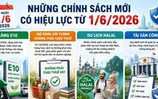 Những chính sách kinh tế có hiệu lực từ tháng 6