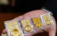 Truy tố Lê Minh Hiếu, sinh năm 2000