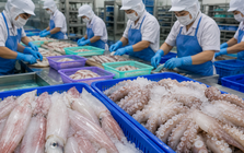Việt Nam đón tin vui cùng lúc từ Hàn Quốc và Nhật Bản