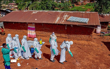 Dịch Ebola lây lan với tốc độ "chưa từng có": Ghi nhận 250 người tử vong, hơn 1.000 ca bệnh tại khu vực Trung Phi