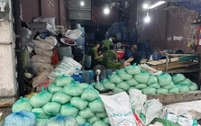 TPHCM: Bắt 4 người sản xuất, bán ra thị trường hơn 1.000 tấn giá đỗ ngâm hóa chất cấm