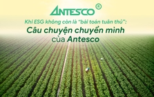 Khi ESG không còn là “bài toán tuân thủ”: Câu chuyện chuyển mình của Antesco