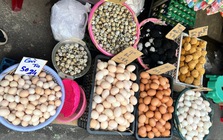 Trứng gà rớt giá, người nuôi lỗ nặng, bán lẻ giảm nhỏ giọt