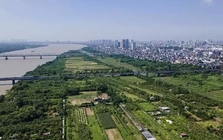 Hà Nội xem xét nghị quyết quy định việc sử dụng bãi sông để xây dựng mới công trình