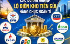 Không riêng EVN, nhiều "ông lớn" cũng có hàng chục ngàn tỉ đồng gửi ngân hàng