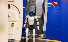 Hãng hàng không siết quy định do sự cố về robot, hành khách sắp tới cần lưu ý
