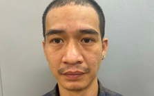 Bắt giữ Hoàng Liên Sơn
