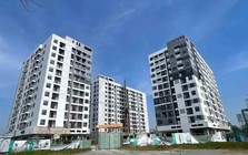 Đề xuất xây căn hộ nhỏ 15 m2 phục vụ nhu cầu của người độc thân hoặc hộ gia đình ít người