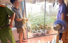 Ra lệnh khám xét khẩn cấp chỗ ở, bắt giữ Hoàng Quý Nhân SN 1995