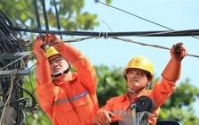 Chuyên gia, EVN nói về lợi nhuận tiền gửi