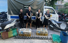 Khám xét bãi xe Trúc Quỳnh, tạm giữ hình sự Nguyễn Thị Thanh Tâm SN 1981
