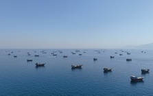 Thoả thuận Mỹ-Iran trước 'giờ G': Qatar tức tốc hỗ trợ, cân nhắc ký trực tuyến