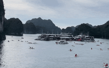 Cảnh tượng ở vịnh Lan Hạ, Cát Bà khiến nhiều người bất ngờ, thốt lên: Không tin vào mắt mình