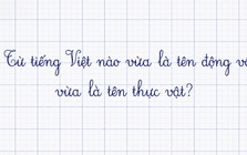 Trong tiếng Việt có một từ vừa là tên động vật vừa là tên thực vật