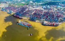 Nhập siêu cao nhất trong vòng một thập kỷ, Việt Nam đã chi gần 90 tỷ USD để nhập khẩu mặt hàng này trong 5 tháng đầu năm