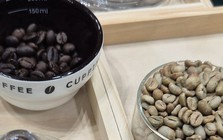 Giá cà phê hôm nay 17-6: Arabica bùng nổ, Robusta nối dài chuỗi tăng