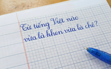 Trong tiếng Việt có một từ vừa là khen ngợi vừa là chê bai