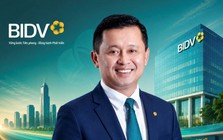 Chân dung tân Tổng Giám đốc BIDV Hoàng Việt Hùng: Từ cán bộ chi nhánh Nghệ An đến CEO ngân hàng lớn nhất Việt Nam