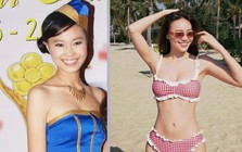 Ninh Dương Lan Ngọc đã làm gì suốt 15 năm qua?